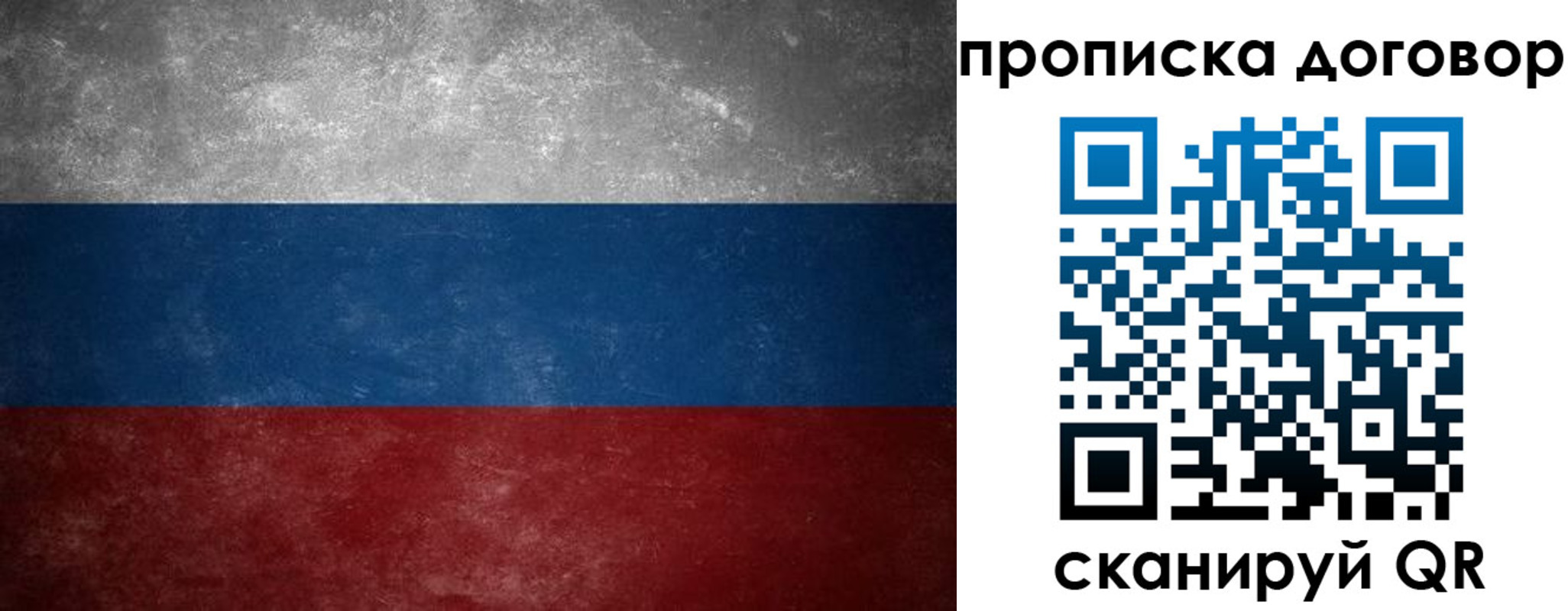 прописка 2025 в Плавске